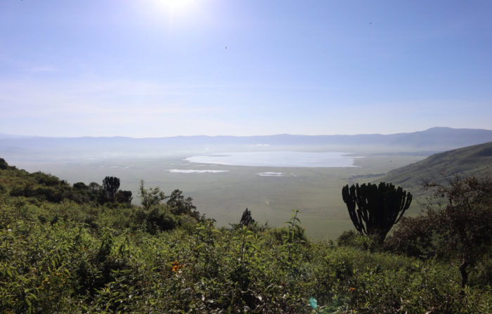 5 days Tanzania safari Tour to Nyerere NP and Mikumi